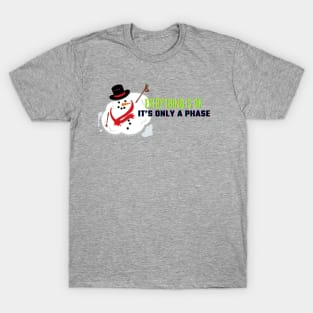 Melting Snowman Geeky Science Meme T-Shirt T-Shirt